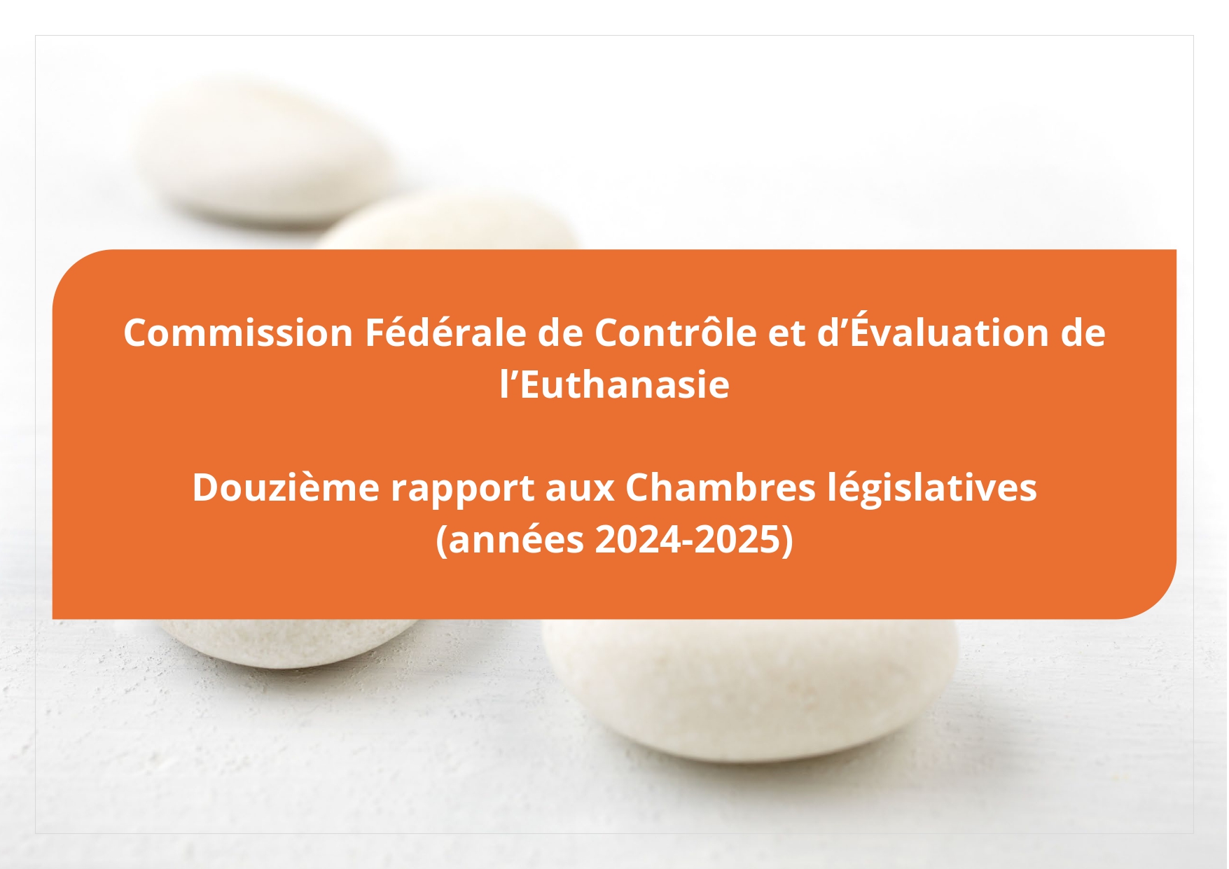 Rapport bisannuel (2024-2025) de la Commission fédérale (belge) de contrôle et d’évaluation de l’euthanasie