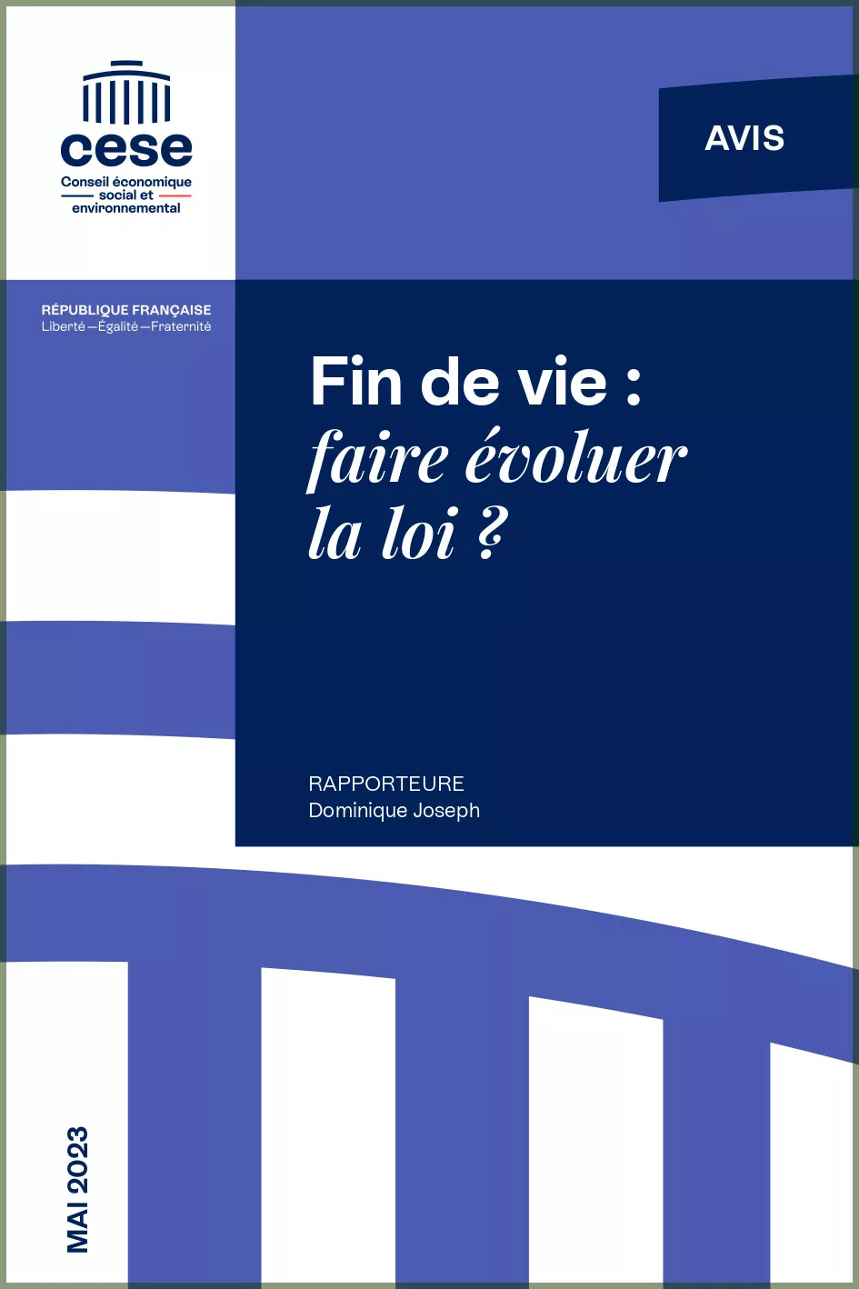 Fin de vie : faire évoluer la loi ? - Conseil économique, social et environnemental